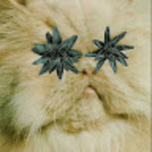 Meet your Posher, Dorie